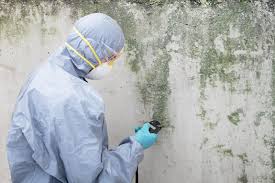 Best Mold Removal for HVAC Installations  in Harrogate, TN